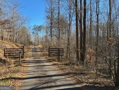 (private lake, pond, coastal) Acreage For Sale in Alto Georgia