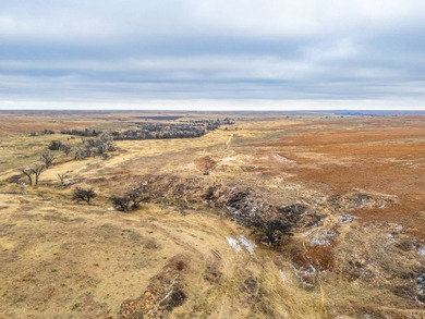 Introducing the Kiowa Creek Panhandle Ranch, a 2,890.57 +/- acre - photo 21