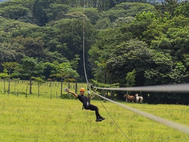 COSTA RICA: 1300+ acres of pristine Jungle/Forest/Valleys in the - photo 21