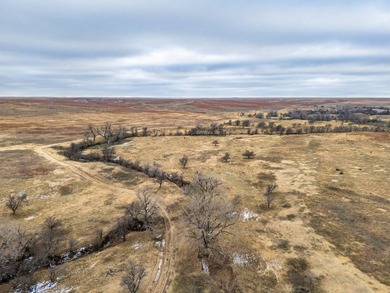 Introducing the Kiowa Creek Panhandle Ranch, a 2,890.57 +/- acre - photo 22