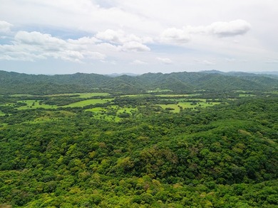 COSTA RICA: 1300+ acres of pristine Jungle/Forest/Valleys in the - photo 23