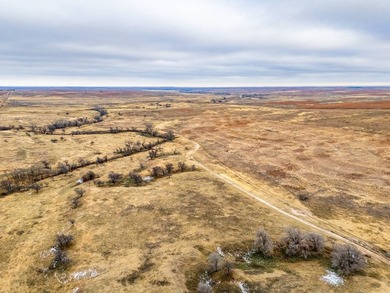 Introducing the Kiowa Creek Panhandle Ranch, a 2,890.57 +/- acre - photo 24