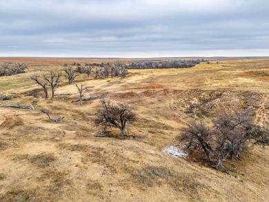 Introducing the Kiowa Creek Panhandle Ranch, a 2,890.57 +/- acre - photo 25