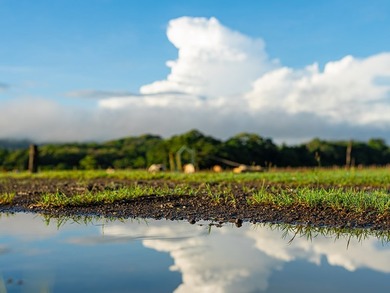 COSTA RICA: 1300+ acres of pristine Jungle/Forest/Valleys in the - photo 25