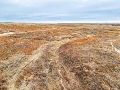 Introducing the Kiowa Creek Panhandle Ranch, a 2,890.57 +/- acre - photo 26