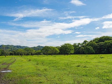 COSTA RICA: 1300+ acres of pristine Jungle/Forest/Valleys in the - photo 27
