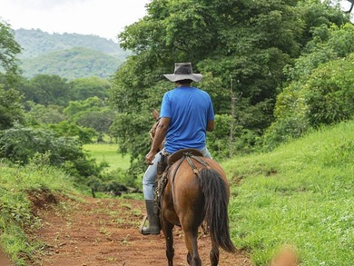 COSTA RICA: 1300+ acres of pristine Jungle/Forest/Valleys in the - photo 28