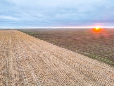 Introducing the Kiowa Creek Panhandle Ranch, a 2,890.57 +/- acre - photo 29