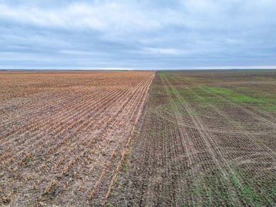 Introducing the Kiowa Creek Panhandle Ranch, a 2,890.57 +/- acre - photo 30