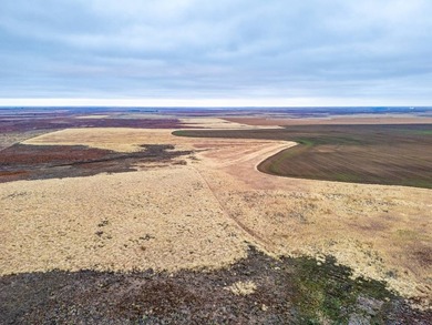 Introducing the Kiowa Creek Panhandle Ranch, a 2,890.57 +/- acre - photo 31