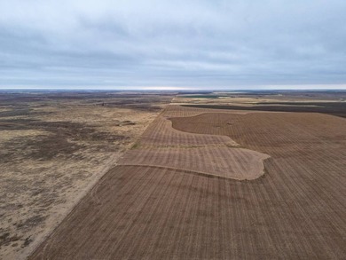 Introducing the Kiowa Creek Panhandle Ranch, a 2,890.57 +/- acre - photo 32