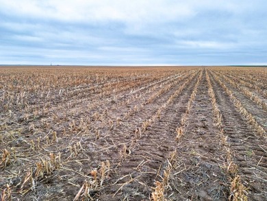 Introducing the Kiowa Creek Panhandle Ranch, a 2,890.57 +/- acre - photo 33
