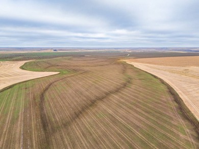 Introducing the Kiowa Creek Panhandle Ranch, a 2,890.57 +/- acre - photo 36
