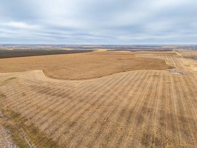 Introducing the Kiowa Creek Panhandle Ranch, a 2,890.57 +/- acre - photo 38