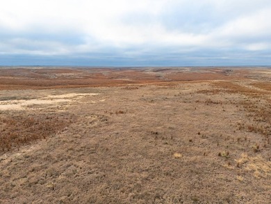 Introducing the Kiowa Creek Panhandle Ranch, a 2,890.57 +/- acre - photo 39