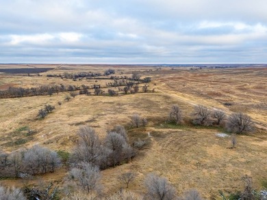 Introducing the Kiowa Creek Panhandle Ranch, a 2,890.57 +/- acre - photo 40