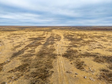 Introducing the Kiowa Creek Panhandle Ranch, a 2,890.57 +/- acre - photo 41