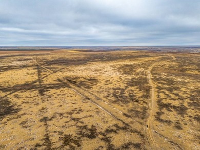 Introducing the Kiowa Creek Panhandle Ranch, a 2,890.57 +/- acre - photo 42