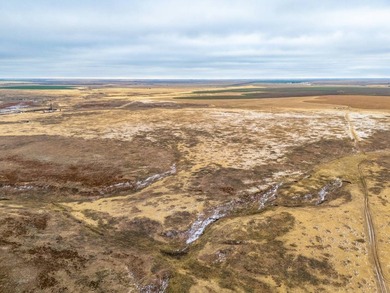 Introducing the Kiowa Creek Panhandle Ranch, a 2,890.57 +/- acre - photo 43