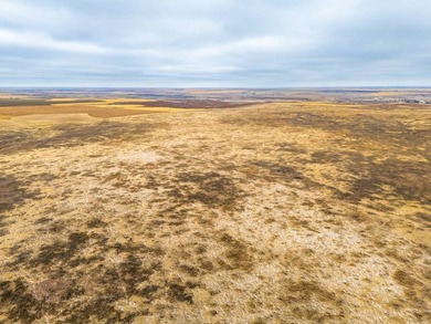 Introducing the Kiowa Creek Panhandle Ranch, a 2,890.57 +/- acre - photo 44