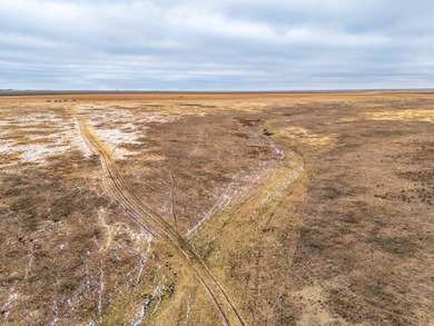 Introducing the Kiowa Creek Panhandle Ranch, a 2,890.57 +/- acre - photo 45