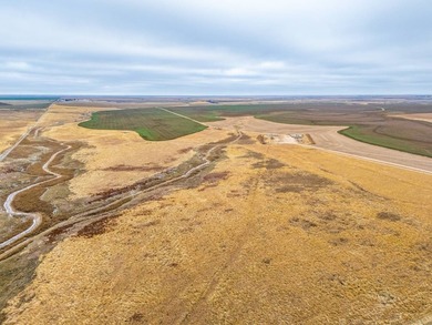 Introducing the Kiowa Creek Panhandle Ranch, a 2,890.57 +/- acre - photo 46