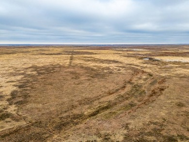 Introducing the Kiowa Creek Panhandle Ranch, a 2,890.57 +/- acre - photo 47