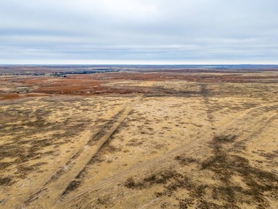 Introducing the Kiowa Creek Panhandle Ranch, a 2,890.57 +/- acre - photo 48