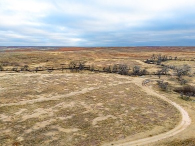 Introducing the Kiowa Creek Panhandle Ranch, a 2,890.57 +/- acre - photo 49