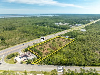 NEW LISTING! EXTRAORDINARY ASSEMBLAGE of approximately 3.73 - photo 1