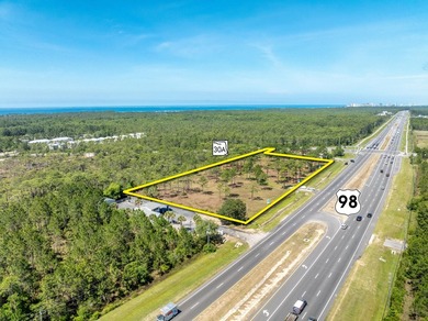 NEW LISTING! EXTRAORDINARY ASSEMBLAGE of approximately 3.73 - photo 6