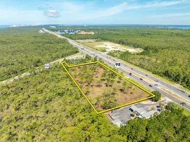 NEW LISTING! EXTRAORDINARY ASSEMBLAGE of approximately 3.73 - photo 7