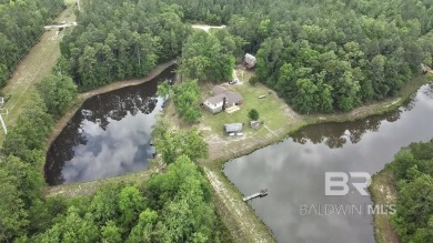 Lake Home For Sale in Mcdavid, Florida