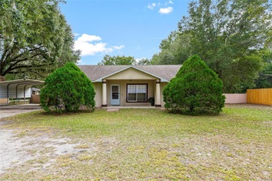 Lake Home For Sale in Altoona, Florida