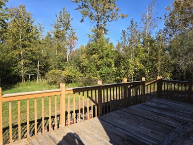 Location, location, location! This cozy 2 bedroom, 1 bathroom - photo 11