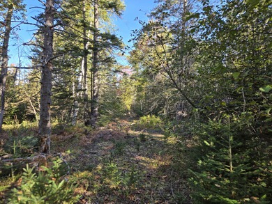 Location, location, location! This cozy 2 bedroom, 1 bathroom - photo 12
