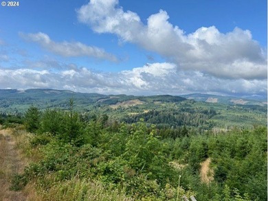 Beautiful property with wonderful views across the valley of - photo 12