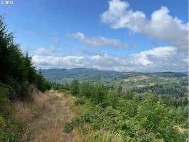 Beautiful property with wonderful views across the valley of - photo 13