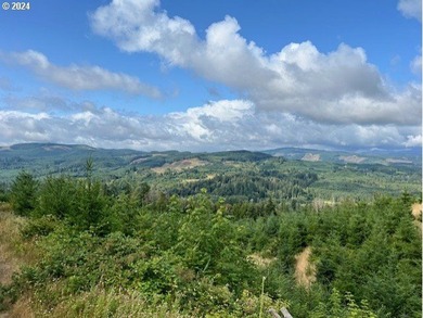Beautiful property with wonderful views across the valley of - photo 14