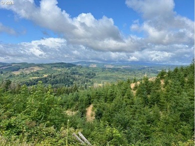Beautiful property with wonderful views across the valley of - photo 15