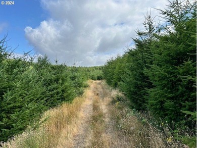 Beautiful property with wonderful views across the valley of - photo 17
