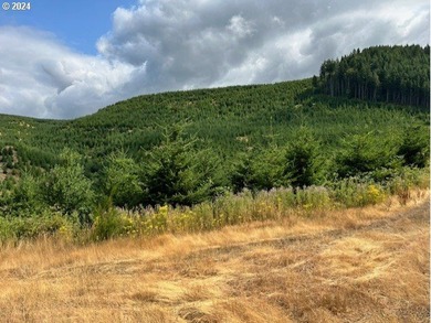 Beautiful property with wonderful views across the valley of - photo 19