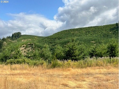 Beautiful property with wonderful views across the valley of - photo 20