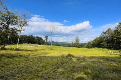 Steels Pond Acreage For Sale in Antrim New Hampshire