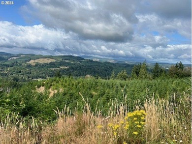 Beautiful property with wonderful views across the valley of - photo 22