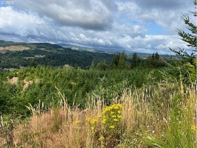 Beautiful property with wonderful views across the valley of - photo 24