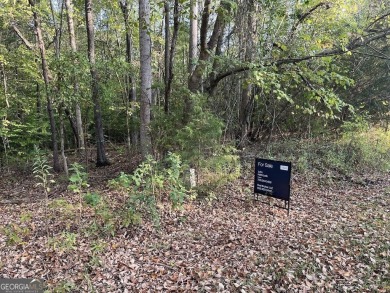 Lake Lot For Sale in Martin, Georgia