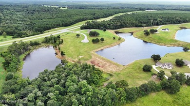 Lake front lots in a beautiful new Subdivision on Highway 63 - photo 6