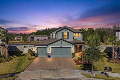 (private lake, pond, coastal) Home For Sale in Wesley Chapel Florida