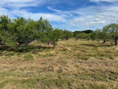Lake Brownwood Lot For Sale in Brownwood Texas